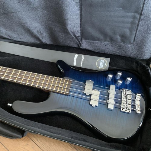Warwick custom masterbuild - warwick,