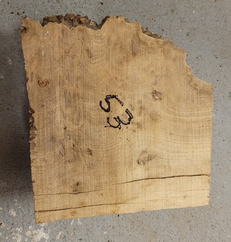 Timber scottish burr - burr, blank
