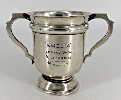 Sterling silver trophy - trophy,