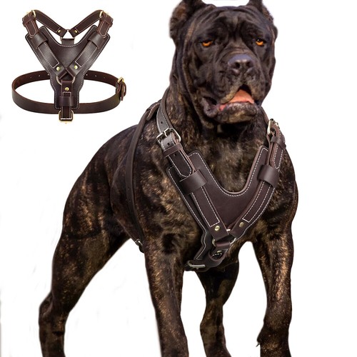 Strong genuine leather dog - leather,