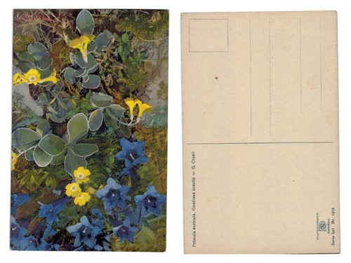 Vintage postcard alpine - vintage,