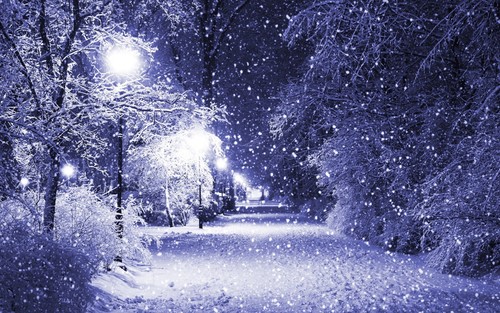 Winter purple snow scene - snow,