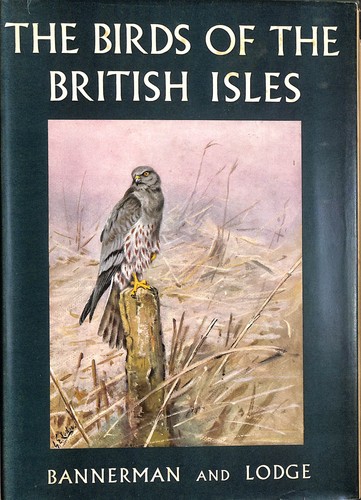 The birds - of,