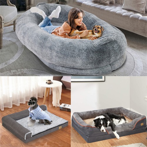 Orthopaedic pet bed aches - orthopaedic,