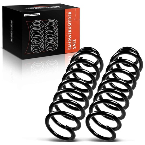 Spring suspension - 2x,