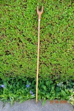 Hazel walking stick with