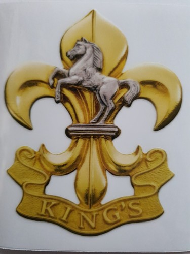 King regiment - 1x, king's