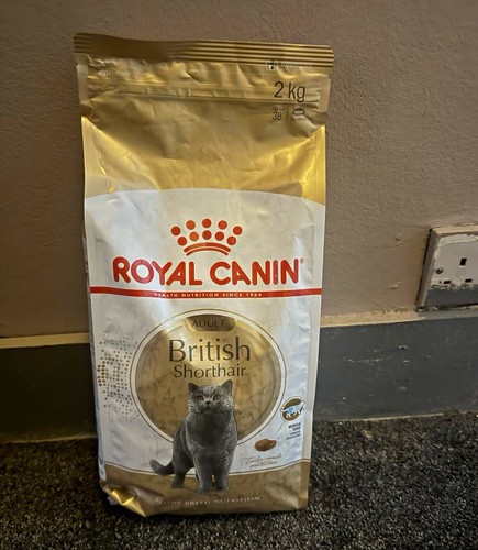 Royal canin british shorthair - canin,