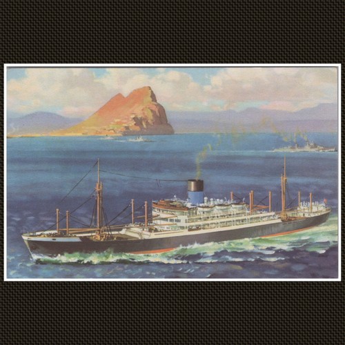 Pyrrhus blue funnel line - pyrrhus,