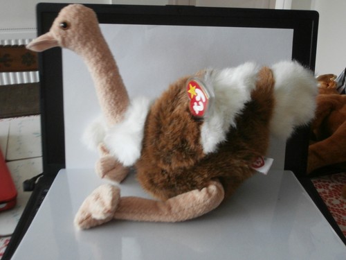 Beanie buddy buddies 1st - beanie,