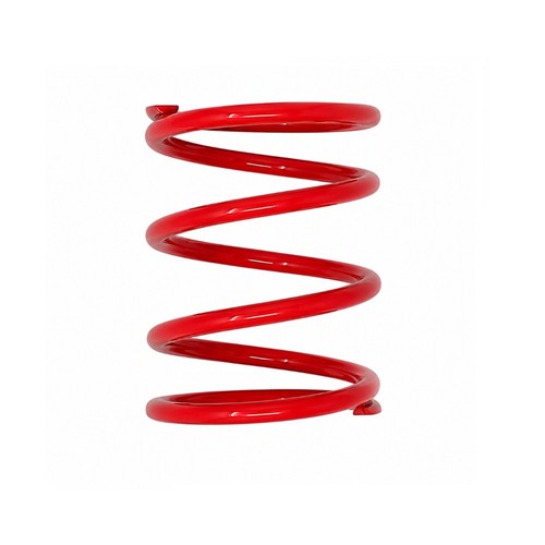 Driven clutch power spring - driven,