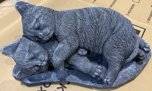 Sleeping kittens concrete - kittens,