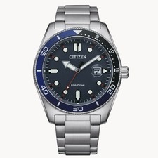 Citizen Eco-Drive Calendar