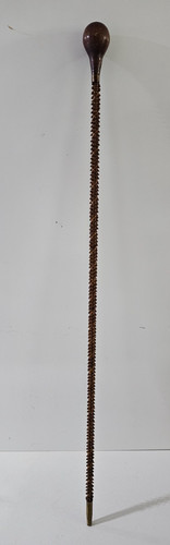 Antique 1800 snake vertebrae - 1800's,