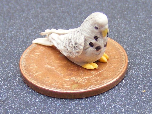 Dolls house grey budgerigar - house,