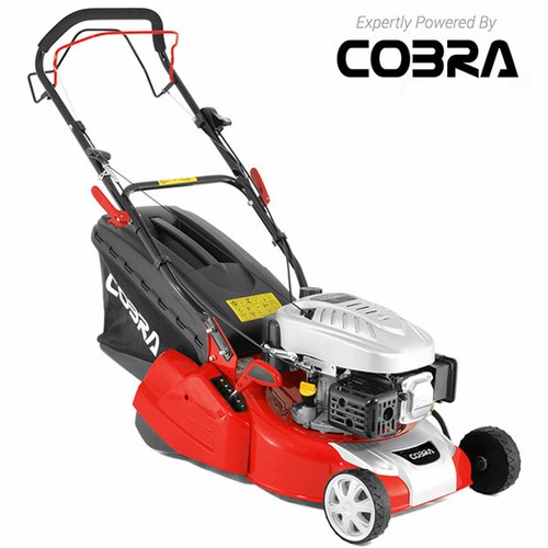 Cobra rear roller petrol lawn - rear,