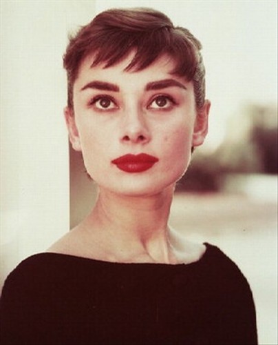 Audrey hepburn 8x10 photo - 8x10,