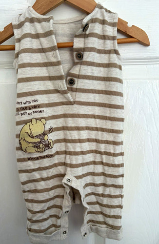 Disney classic pooh winnie - disney,