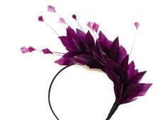 Plum purple violet feather