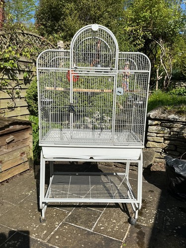 Top opening 36 - 36", parrot