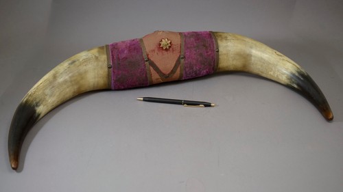 Antique mounted bull horns - mounted,