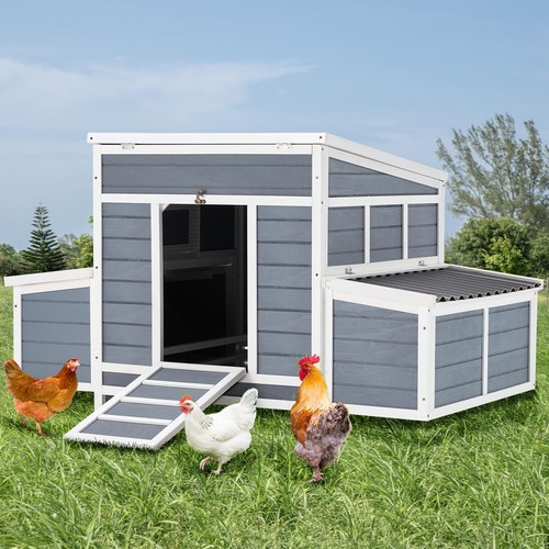 Outdoor chicken coop - outdoor,
