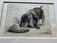 Morgan Dennis Dachshund Pup