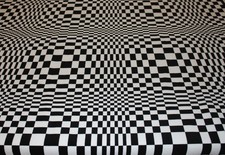 Porsche Pascha Pasha Velour