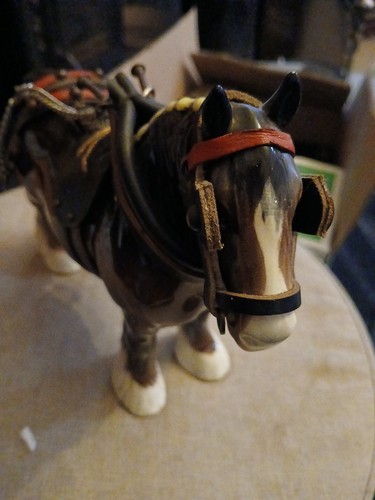 Clydesdale shire horse - clydesdale,