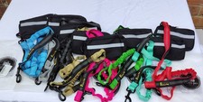 Hands‑free bungee dog