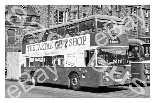 Bus photograph eastern - bus,