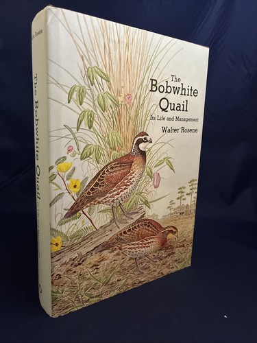 The bobwhite quail walter - bobwhite,