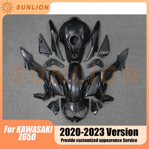 Bodywork fairing kit - fairing, fit
