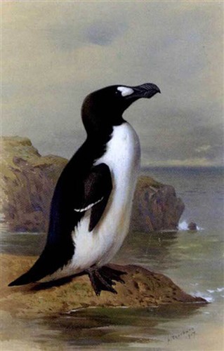 Archibald thorburn print - archibald,