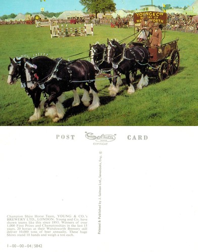 Vintage postcard young and - -,