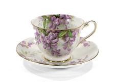 Royal Standard Wistaria Bone