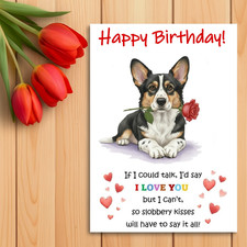 Cardigan Welsh Corgi Birthday