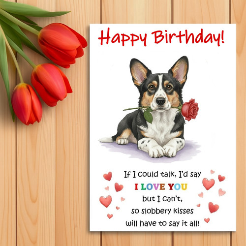 Cardigan welsh corgi birthday - cardigan,