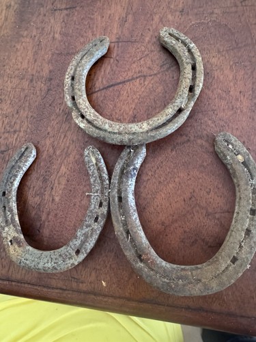 Lucky horse shoes man - horse,