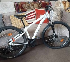 Unisex 20-inch Mountain Bike
