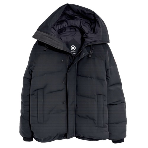 Canada goose arctic program - goose,