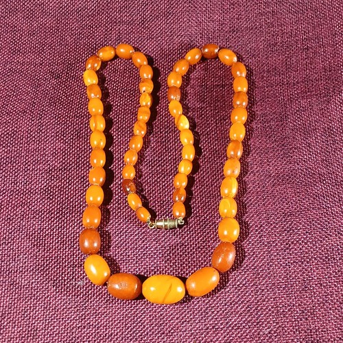 Antique baltic amber - baltic, yolk