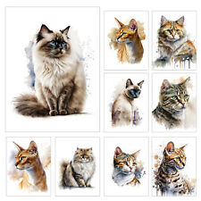 Metal Sign Plaque Cats Wall Art Print Picture Cat Prints Signs Home Décor Gift