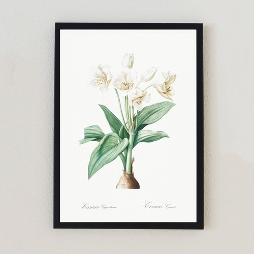 Botanical vintage flower - vintage,
