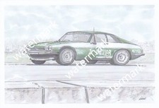 print watercolour TWR jaguar