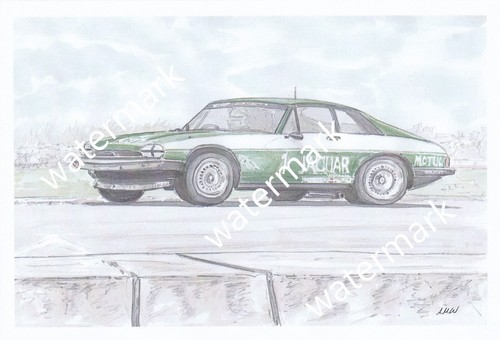 Print watercolour twr jaguar - watercolour,