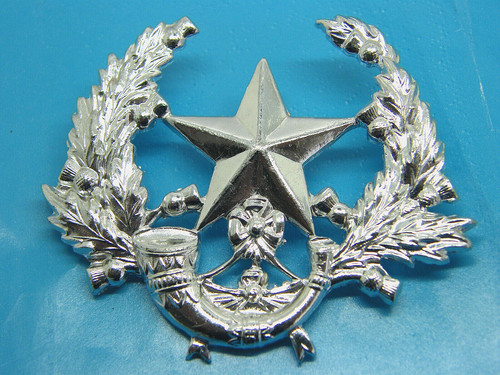 Rare anodise cameronians army - rare,