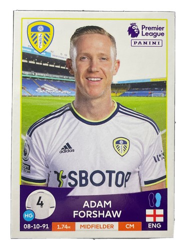 Panini premier league - league, 2023
