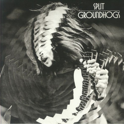 Groundhogs split - split,