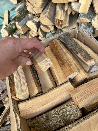 Small ash hardwood dried mini - ash,